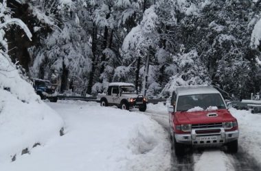 SHIMLA KULLU MANALI CAR TOUR1